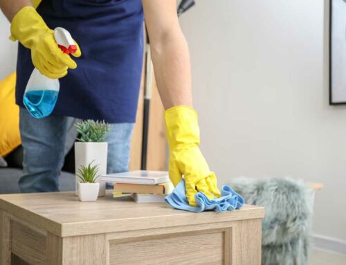 Unlock the Secrets to a Dust-Free Home in Spring, TX